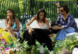 Illustration for article titled Iconic Black Moms Through the Years